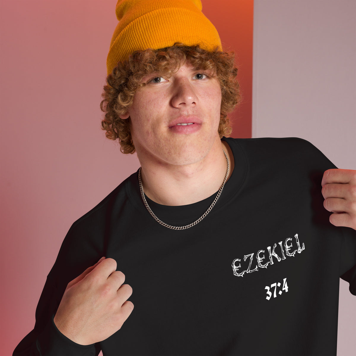 Dry Bones Awaken Sweatshirt ?