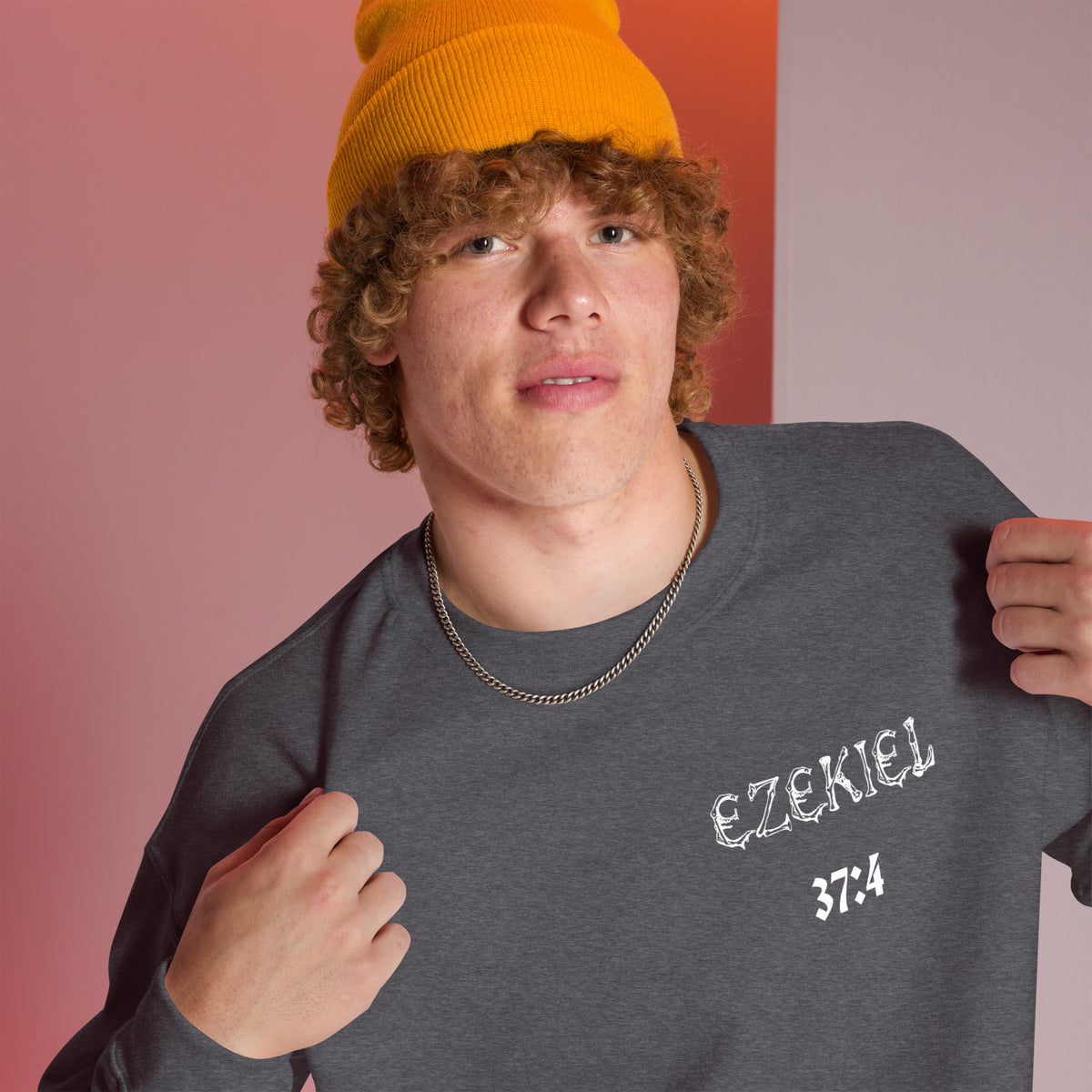 Dry Bones Awaken Sweatshirt ?