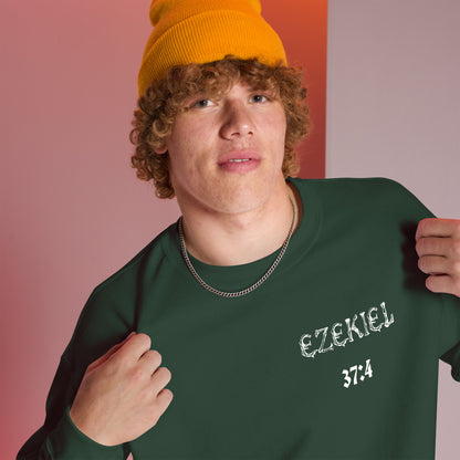 Dry Bones Awaken Sweatshirt ?