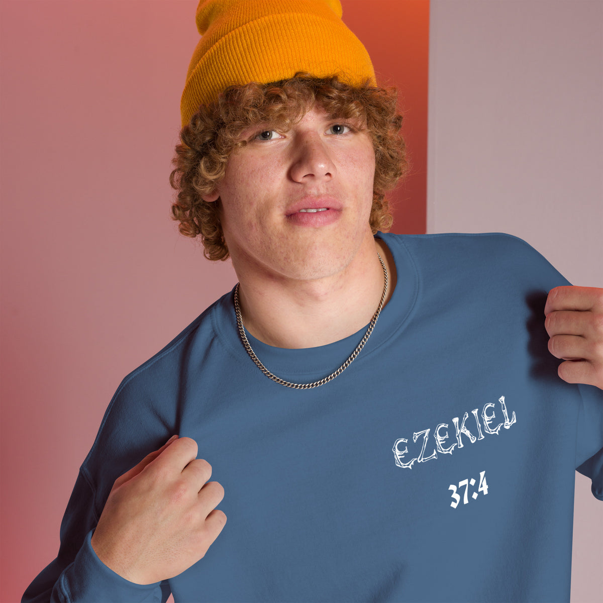 Dry Bones Awaken Sweatshirt ?