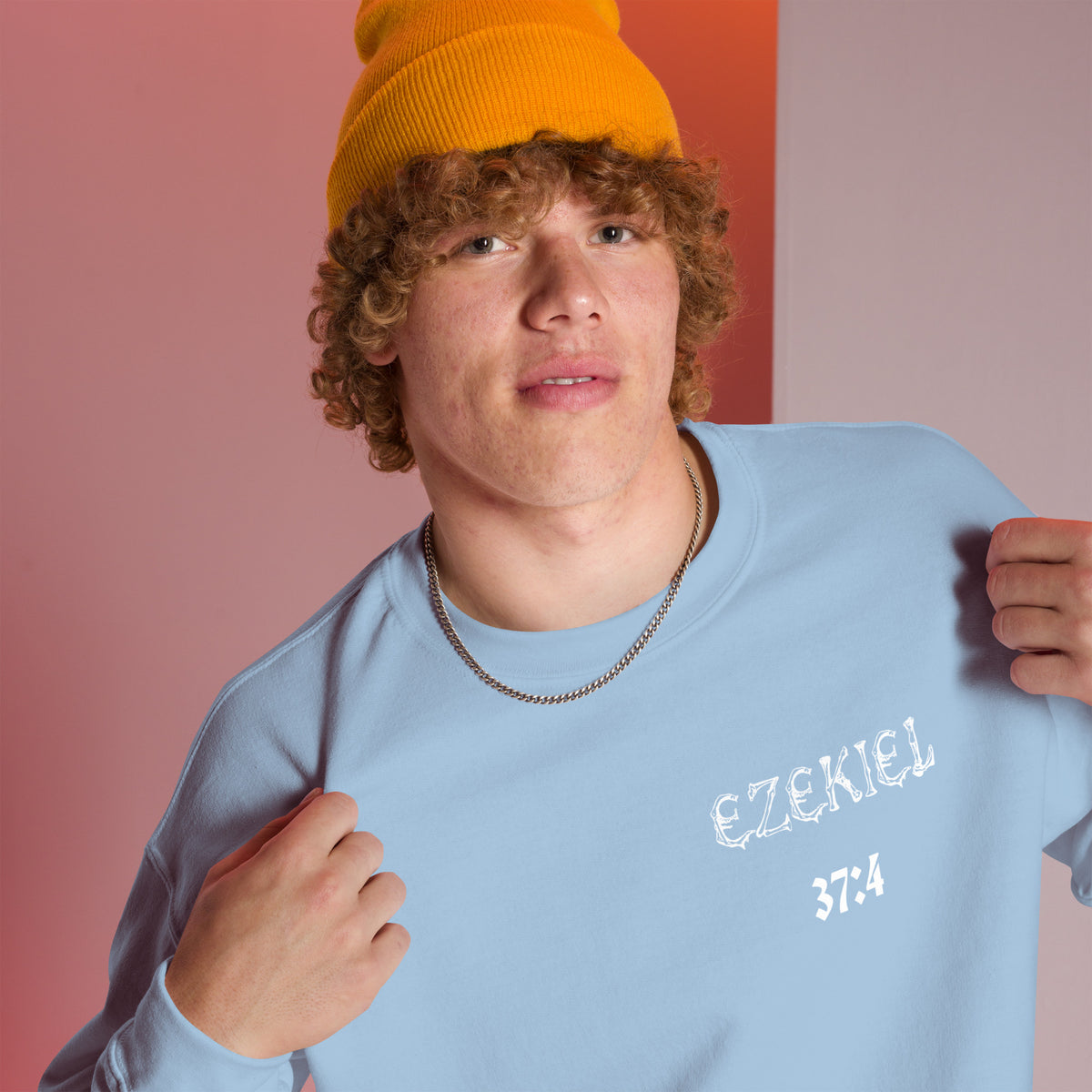 Dry Bones Awaken Sweatshirt ?