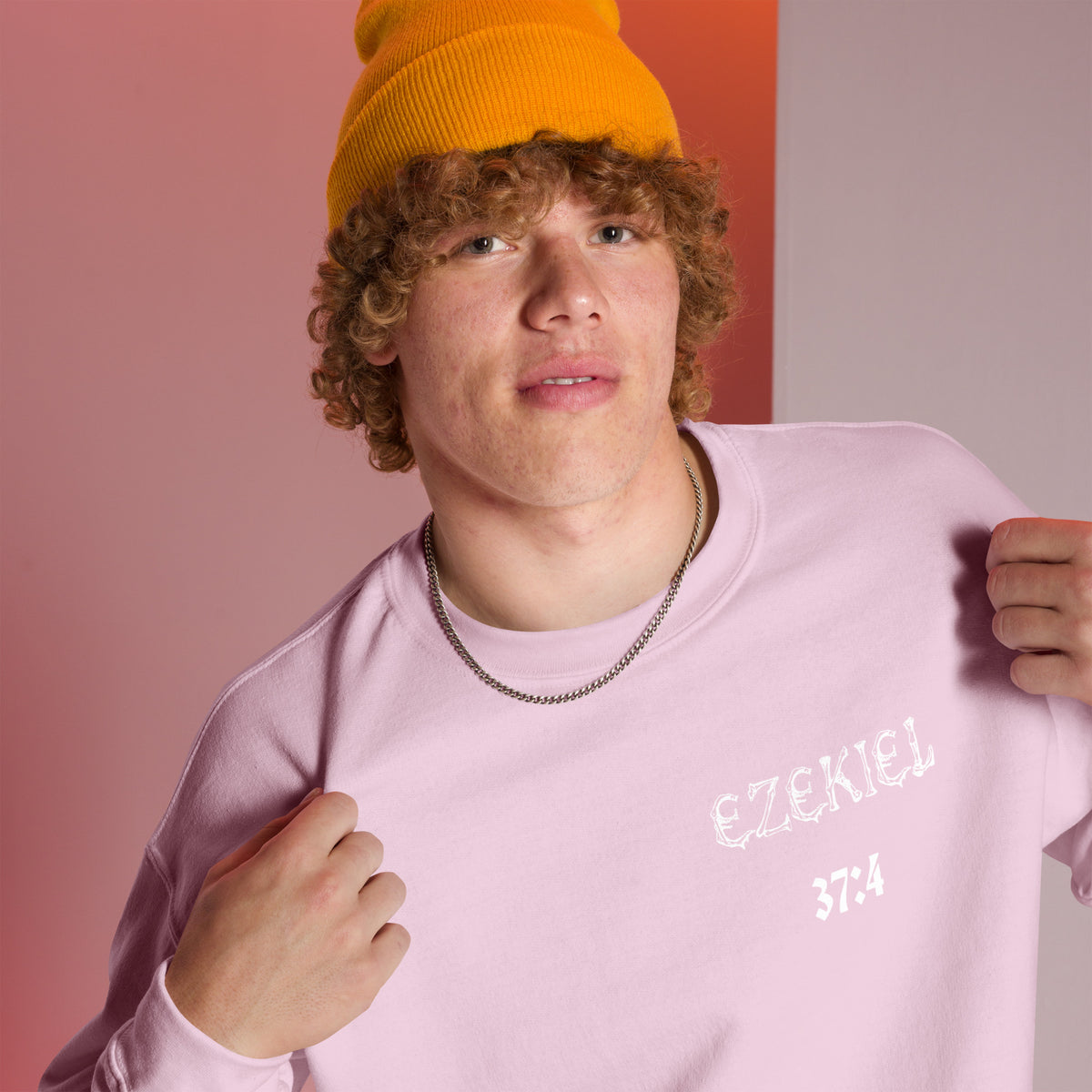 Dry Bones Awaken Sweatshirt ?