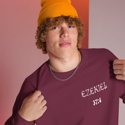 Dry Bones Awaken Sweatshirt ?