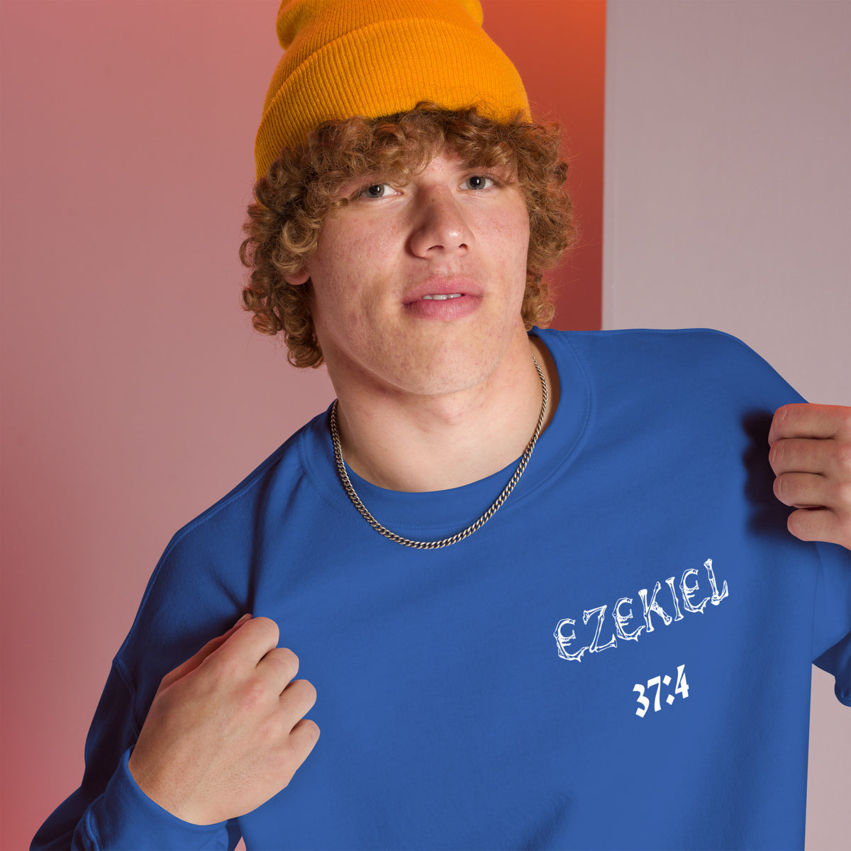 Dry Bones Awaken Sweatshirt ?